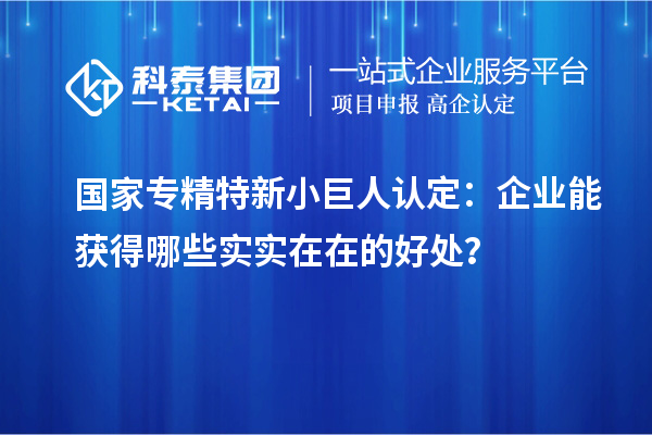 国家专精特新小巨人认定：企业能获得哪些实实在在的好处？