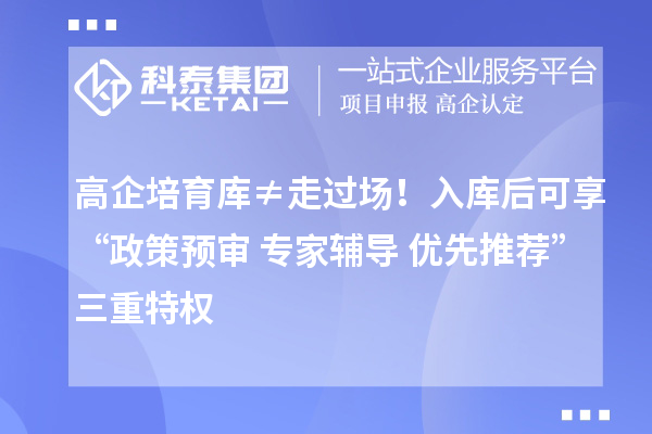 高企培育库≠走过场！入库后可享“政策预审+专家辅导+优先推荐”三重特权