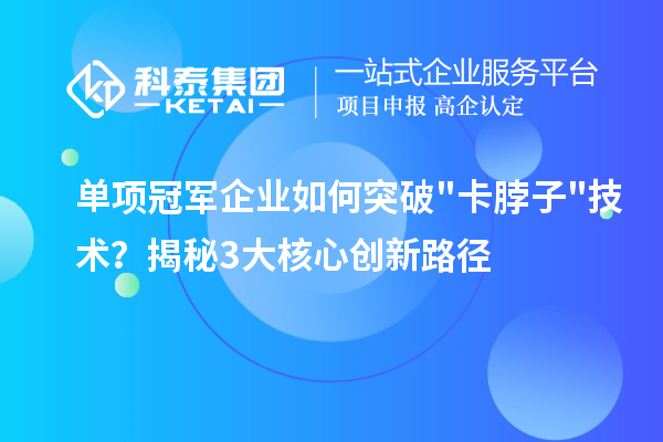 单项冠军企业如何突破"卡脖子"技术？揭秘3大核心创新路径