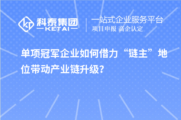 单项冠军企业如何借力“链主”地位带动产业链升级？