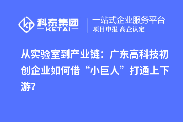 从实验室到产业链：广东高科技初创企业如何借“小巨人”打通上下游？