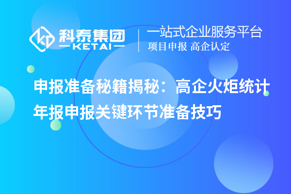 申报准备秘籍揭秘：高企火炬统计年报申报关键环节准备技巧