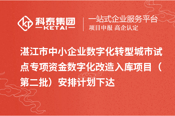 湛江市中小企业数字化转型城市试点专项资金数字化改造入库项目（第二批）安排计划下达