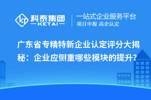 广东省专精特新中小企业认定评分大揭秘：企业应侧重哪些模块的提升？