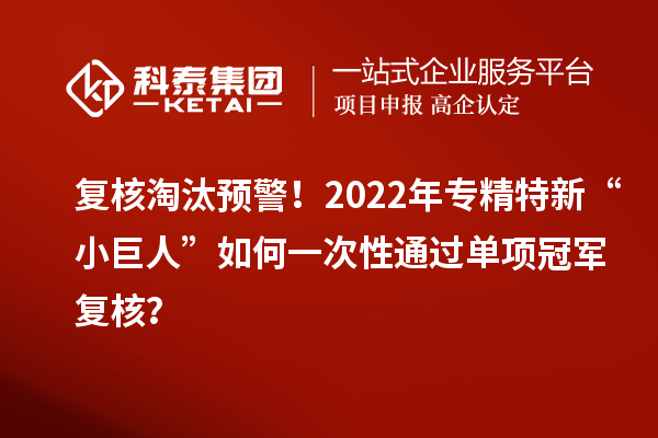 复核淘汰预警！2022年专精特新“小巨人”如何一次性通过单项冠军复核？