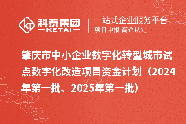 肇庆市中小企业数字化转型城市试点数字化改造项目资金计划（2024年第一批、2025年第一批）