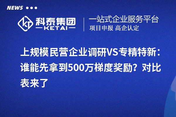 上规模民营企业调研VS专精特新：谁能先拿到500万梯度奖励？对比表来了