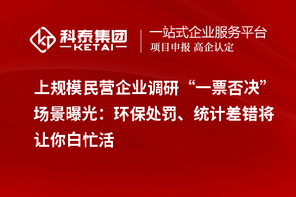 上规模民营企业调研“一票否决”场景曝光：环保处罚、统计差错将让你白忙活
