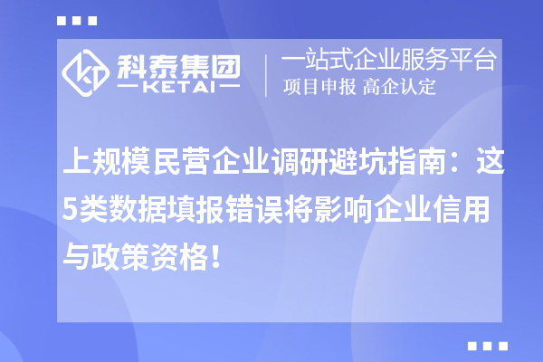 上规模民营企业调研避坑指南：这5类数据填报错误将影响企业信用与政策资格！