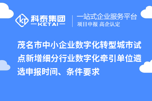 茂名市中小企业数字化转型城市试点新增细分行业数字化牵引单位遴选申报时间、条件要求