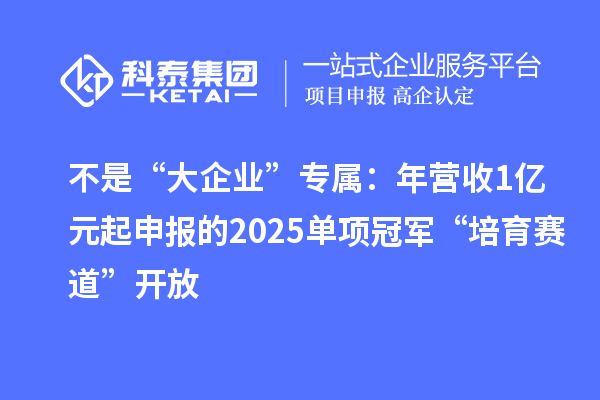 不是“大企业”专属：年营收1亿元起申报的2025单项冠军“培育赛道”开放