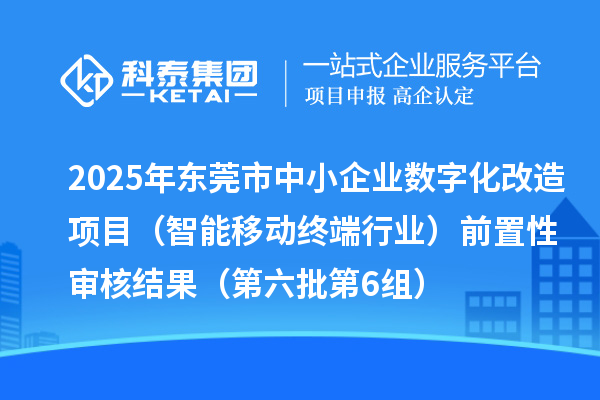 2025年东莞市中小企业数字化改造项目(智能移动终端行业)前置性审核结果(第六批第6组)