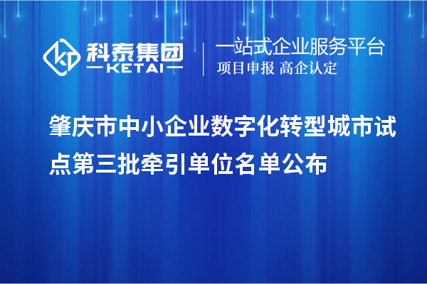 肇庆市中小企业数字化转型城市试点第三批牵引单位名单公布
