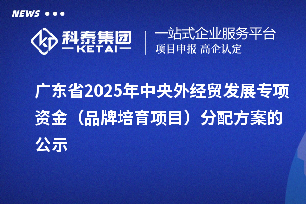 广东省2025年中央外经贸发展专项资金（品牌培育项目）分配方案的公示