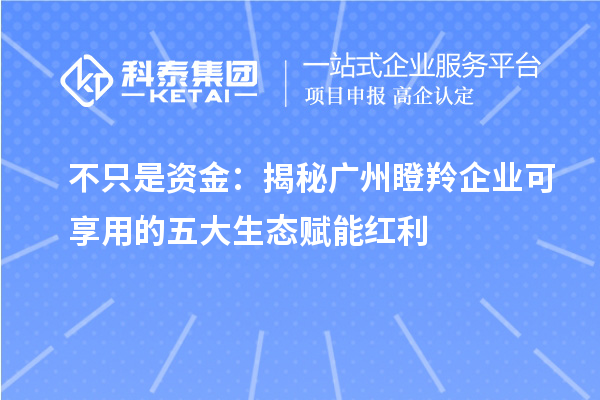 不只是资金：揭秘广州瞪羚企业可享用的五大生态赋能红利
