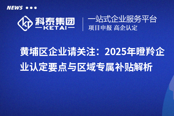 黄埔区企业请关注：2025年瞪羚企业认定要点与区域专属补贴解析