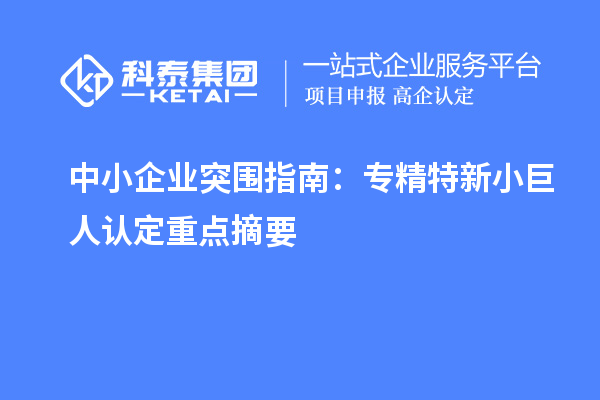 中小企业突围指南:专精特新小巨人认定重点摘要