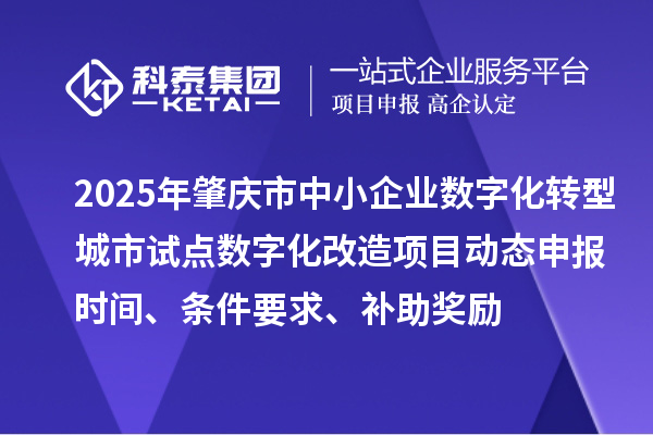 2025年肇庆市中小企业数字化转型城市试点数字化改造项目动态申报时间、条件要求、补助奖励
