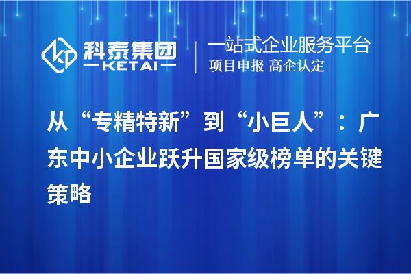从“专精特新”到“小巨人”:广东中小企业跃升国家级榜单的关键策略