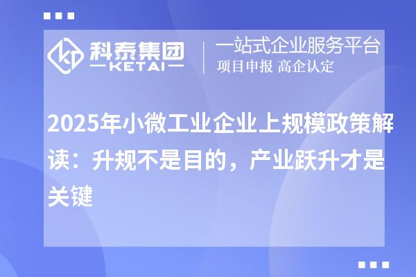 2025年小微工业企业上规模政策解读：升规不是目的，产业跃升才是关键