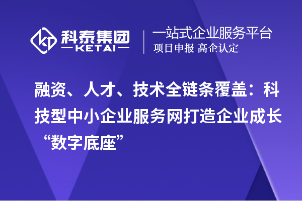 融资、人才、技术全链条覆盖：科技型中小企业服务网打造企业成长“数字底座”