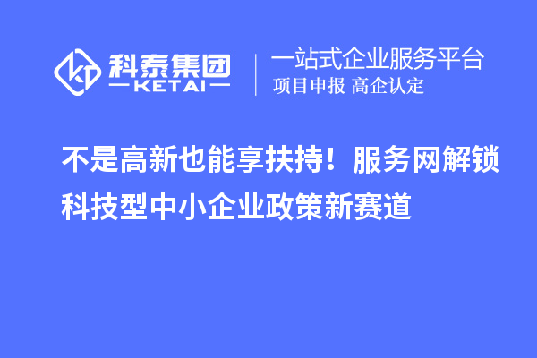 不是高新也能享扶持！服务网解锁科技型中小企业政策新赛道