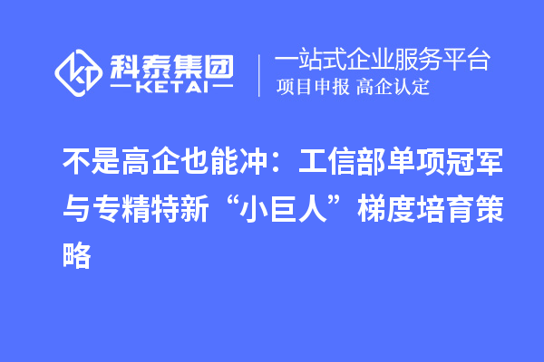 不是高企也能冲：工信部单项冠军与专精特新“小巨人”梯度培育策略