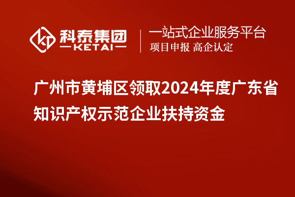 广州市黄埔区领取2024年度广东省知识产权示范企业扶持资金