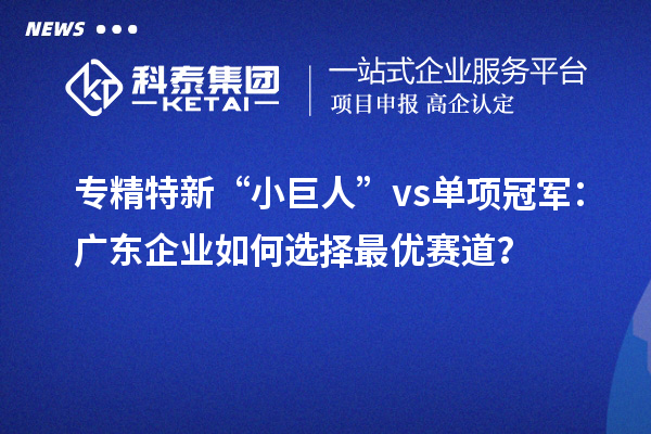 专精特新“小巨人” vs 单项冠军：广东企业如何选择最优赛道？