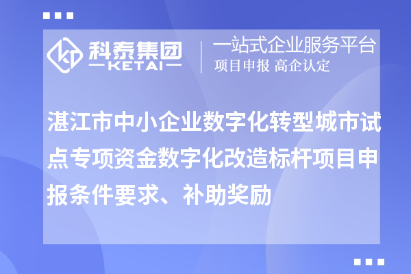 湛江市中小企业数字化转型城市试点专项资金数字化改造标杆<a href=http://www.1ys1w.cn/shenbao.html target=_blank class=infotextkey>项目申报</a>条件要求、补助奖励