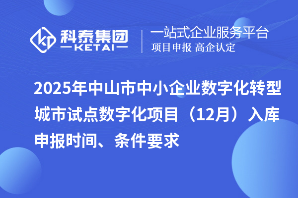 2025年中山市中小企业数字化转型城市试点数字化项目（12月）入库申报时间、条件要求