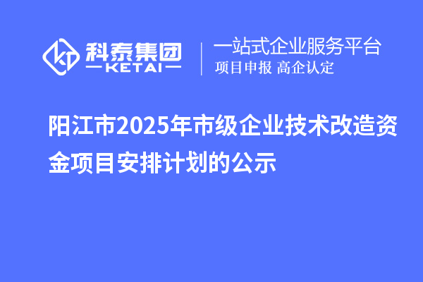 阳江市2025年市级企业技术改造资金项目安排计划的公示