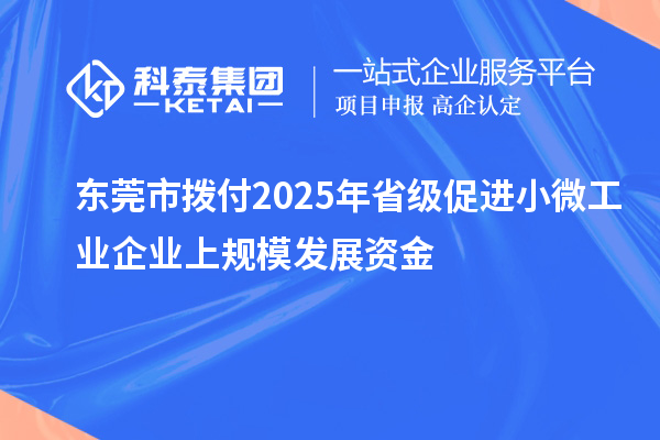 东莞市拨付2025年省级促进小微工业企业上规模发展资金