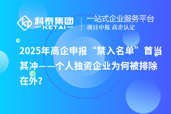 2025年高企申报“禁入名单”首当其冲——个人独资企业为何被排除在外？