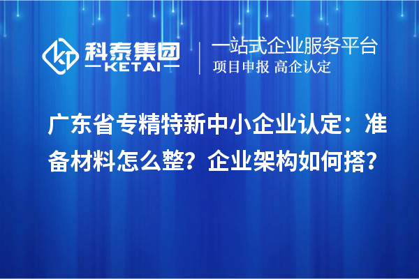 广东省专精特新中小企业认定：准备材料怎么整？企业架构如何搭？