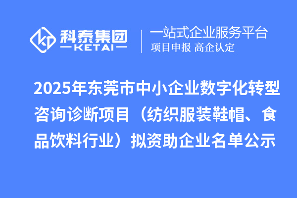 2025年东莞市中小企业数字化转型城市试点专项资金咨询诊断项目（纺织服装鞋帽、食品饮料行业）拟资助企业名单的公示