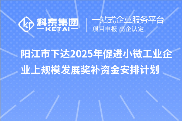 阳江市下达2025年促进小微工业企业上规模发展奖补资金安排计划