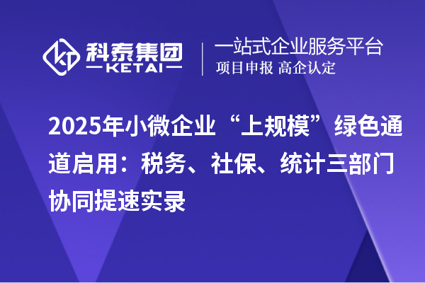 2025年小微企业“上规?！甭躺ǖ榔粲茫核拔?、社保、统计三部门协同提速实录