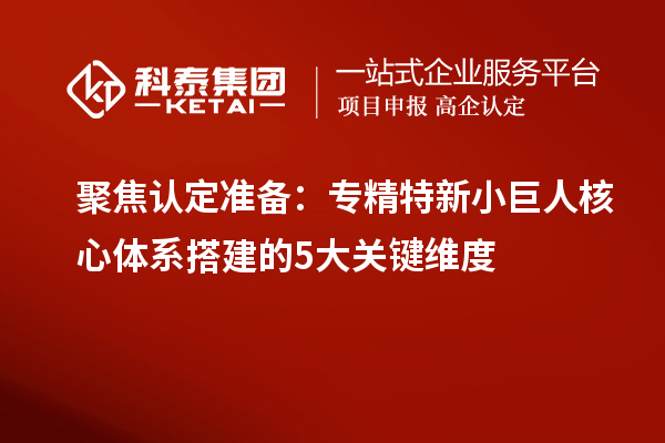 聚焦认定准备：专精特新小巨人核心体系搭建的5大关键维度