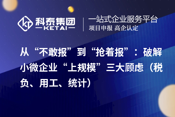 从“不敢报”到“抢着报”：破解小微企业“上规模”三大顾虑（税负、用工、统计）
