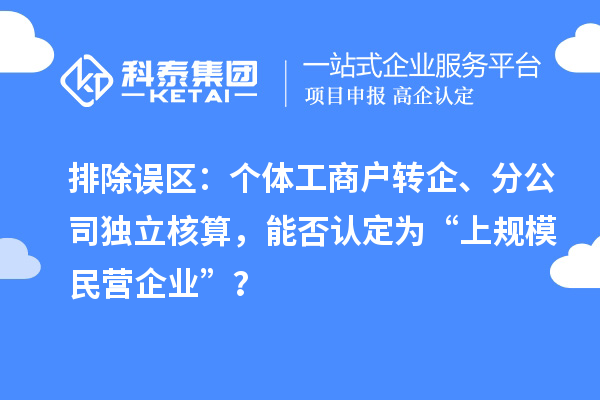 排除误区：个体工商户转企、分公司独立核算，能否认定为“上规模民营企业”？