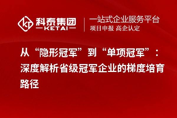 从“隐形冠军”到“单项冠军”：深度解析省级冠军企业的梯度培育路径
