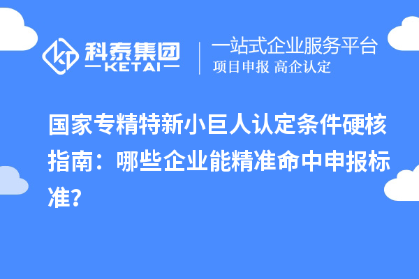 国家专精特新小巨人认定条件硬核指南：哪些企业能精准命中申报标准？