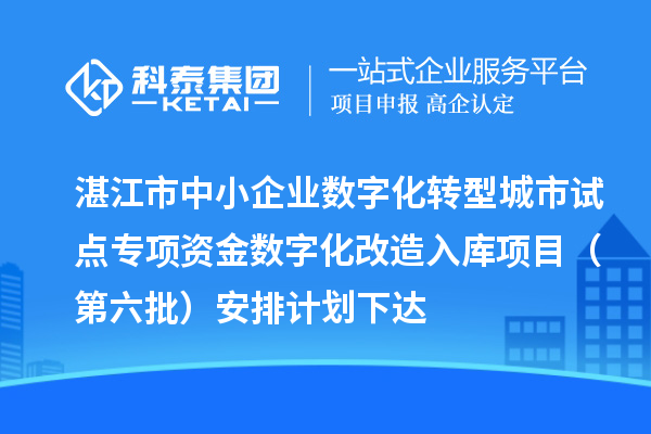 湛江市中小企业数字化转型城市试点专项资金数字化改造入库项目（第六批）安排计划下达