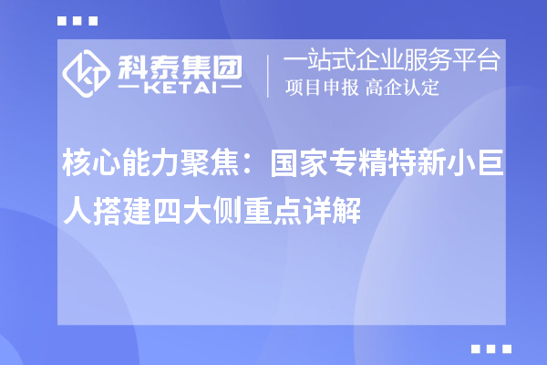 核心能力聚焦：国家专精特新小巨人搭建四大侧重点详解