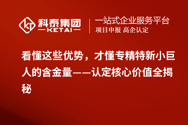 看懂这些优势，才懂专精特新小巨人的含金量——认定核心价值全揭秘