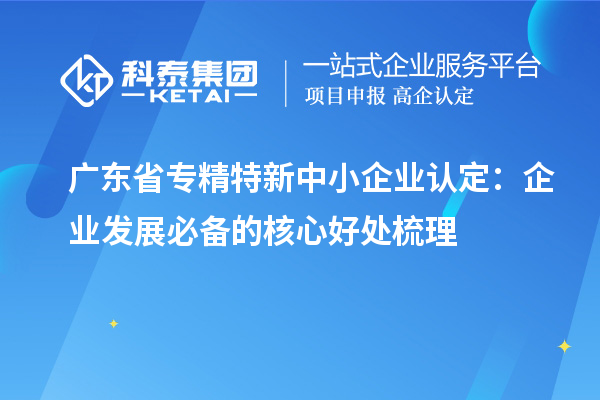 广东省专精特新中小企业认定：企业发展必备的核心好处梳理