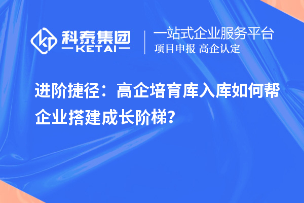 进阶捷径：高企培育库入库如何帮企业搭建成长阶梯？