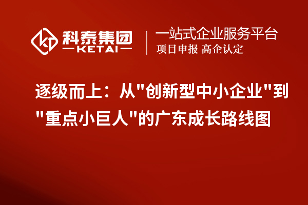 逐级而上：从创新型中小企业到重点小巨人的广东成长路线图