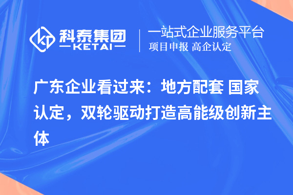 广东企业看过来：地方配套+国家认定，双轮驱动打造高能级创新主体